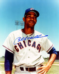 Billy Williams Signed Chicago Cubs Pose 8x10 Photo - WIL08P109 - Billy Williams Signed Chicago Cubs Pose 8x10 Photo product image