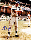 Maury Wills Signed Los Angeles Dodgers Batting Pose 8x10 Photo - WIL08P130 - Maury Wills Signed Los Angeles Dodgers Batting Pose 8x10 Photo product image