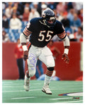 Otis Wilson Signed Chicago Bears Navy Jersey Action 16x20 Photo - WIL16P301 - Otis Wilson Signed Chicago Bears Navy Jersey Action 16x20 Photo product image